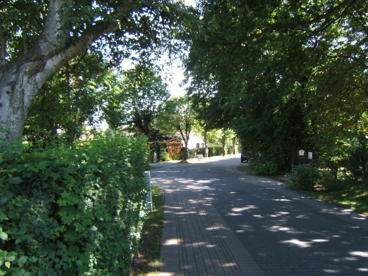 3-Zi-Ferienwohnung Piratennest 2 Zingst Exterior photo